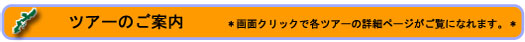 沖縄自然ツーリスト ツアー