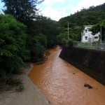 渡海川河口付近。上流から赤土どんどん出てくる。