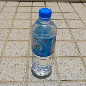沖縄が思っているよりも赤道に近いことを実感する。