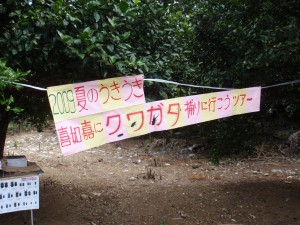 2009夏のうきうき喜如嘉にクワガタ採りに行こうツアー