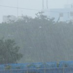 雨で視界が霞むー。