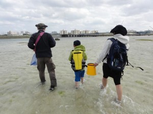 那覇近くでできる海の生き物観察ツアー