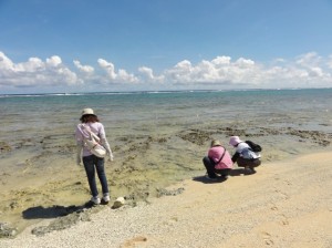 久高島-イシキ浜。琉球に五穀が漂着したとされる霊域。