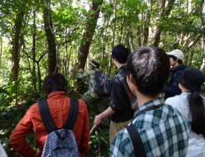 沖縄本島の“最高峰をめざす”やんばるの森遊歩ツアー