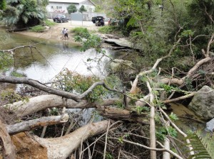 平南川、ター滝への行く手を阻む倒木。