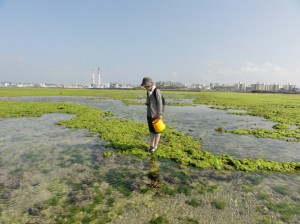美しい浦添西海岸（オリジナル・リクエスト・ネイチャーウォーク・ツアー：沖縄自然ツーリスト）