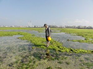 美しい浦添西海岸（オリジナル・リクエスト・ネイチャーウォーク・ツアー：沖縄自然ツーリスト）