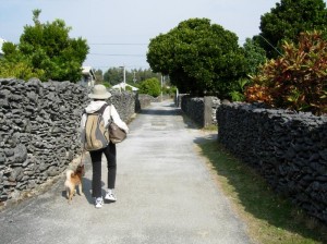 集落内を散歩♪ 石垣がみんなサンゴでできているね。