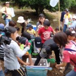 マンゴーに群がる「ぼくたちクワガタみたい」