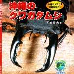 絶賛発売中！沖縄のクワガタムシ