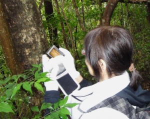 亜熱帯の森は刺激的！