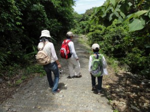 okinawa kuwagata tour