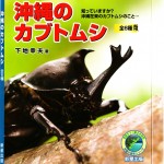 絶賛発売中！沖縄のカブトムシ