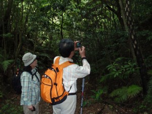 与那覇岳